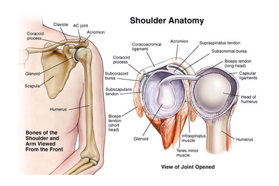 Shoulder Injury Prevention 